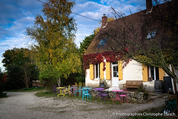 Family Ecolodge, Batilly-en-Puisaye - photo 29