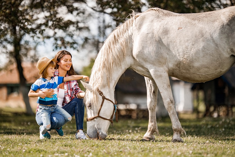 Family Ecolodge, Batilly-en-Puisaye - photo 12