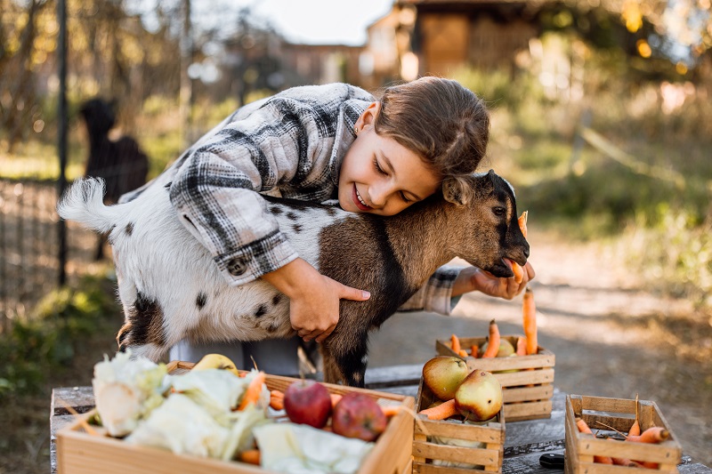 Family Ecolodge, Batilly-en-Puisaye - photo 5