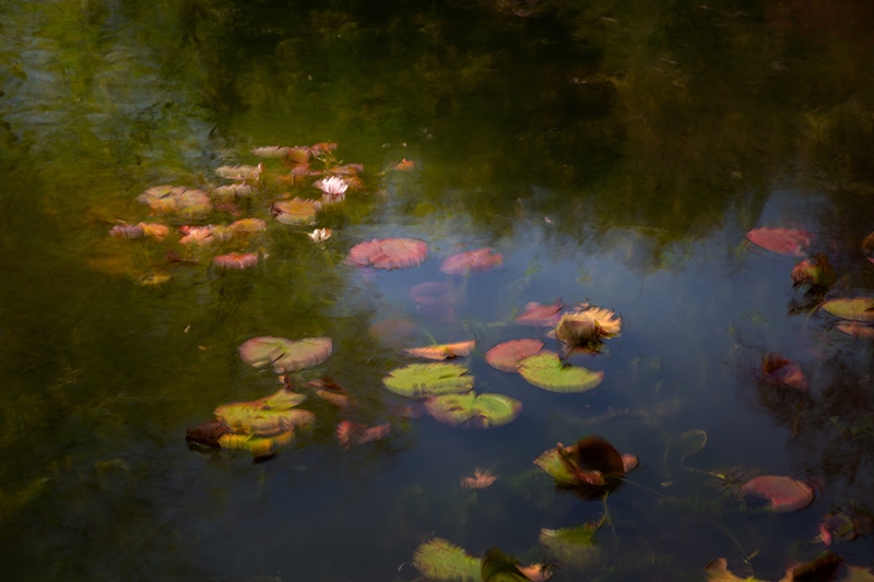 Exposition de photographies de FAN LI