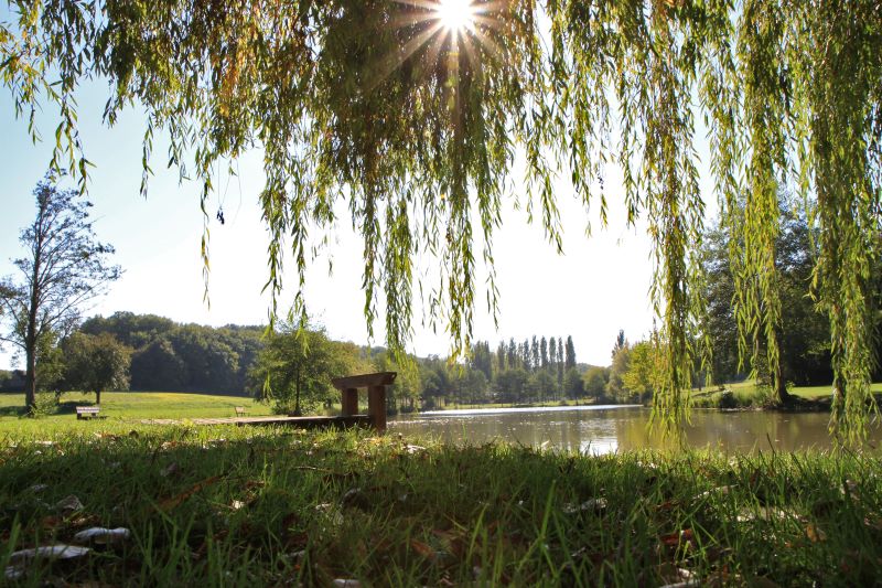 Pêche à l'étang communal de Faverolles-en-Berry