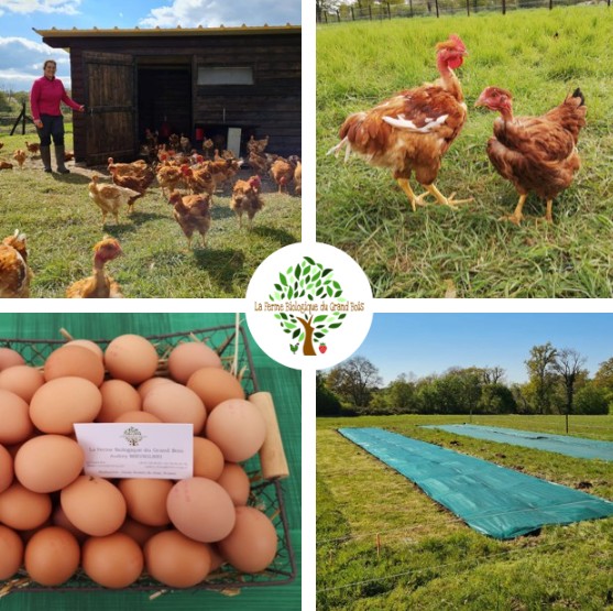 Ferme biologique du Grand Bois