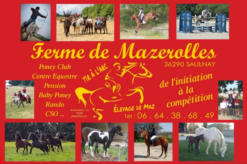 Ferme équestre et poney club de Mazerolles  France Centre-Val de Loire Indre Saulnay 36290