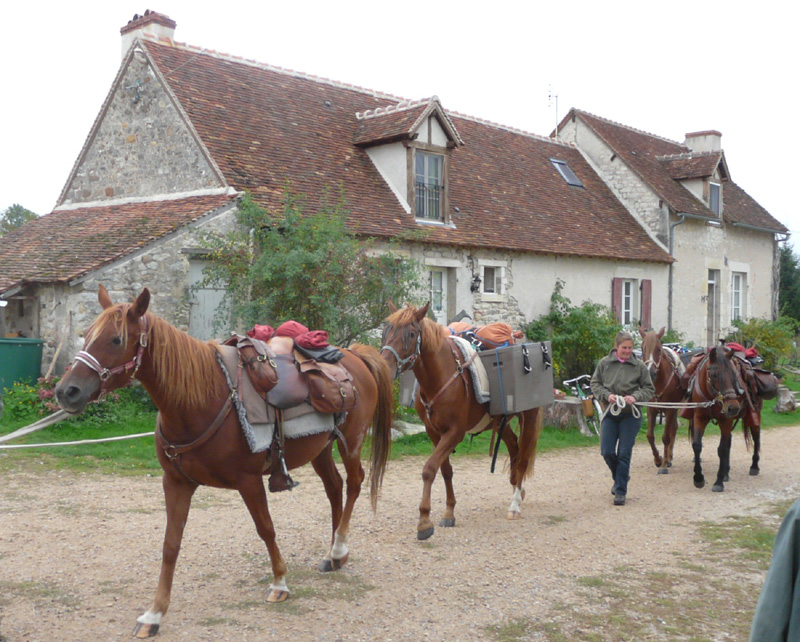 La Brenne à cheval Randonnées en marguerite au départ de la ferme de la Petite Ménardière  France Centre-Val de Loire Indre Lignac 36370