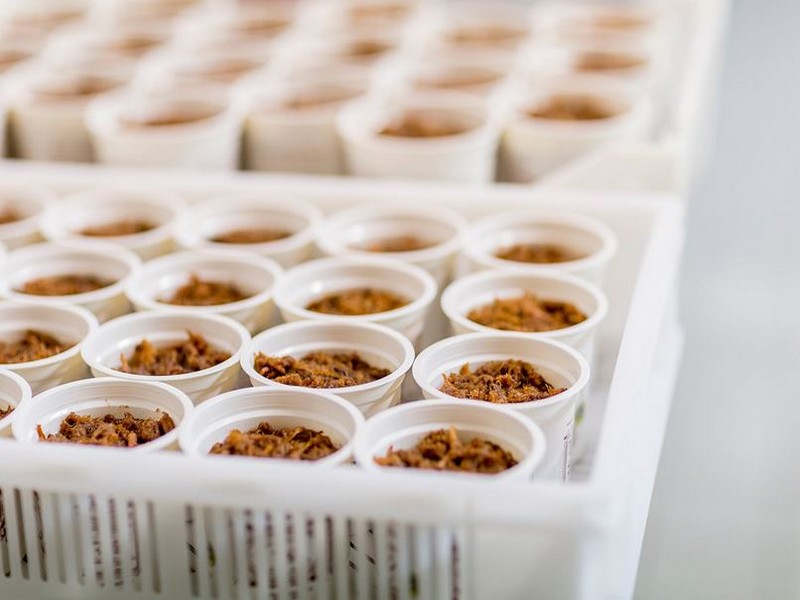 Aire de stationnement de la Ferme des Bournaichères, Betz-le-Château