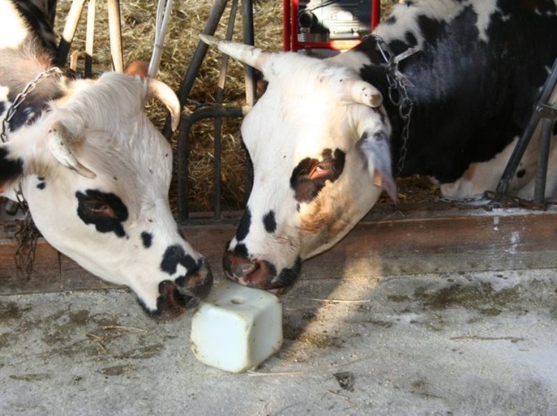 La Ferme du Plessis Doré