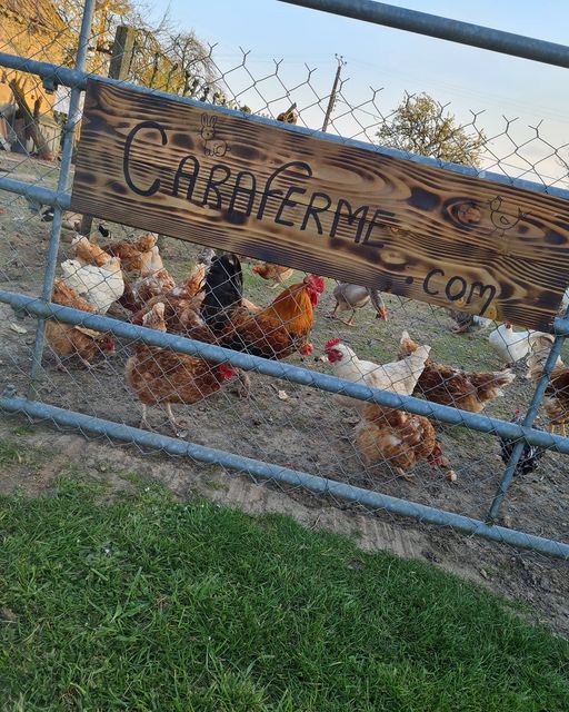 Caraferme et Compagnie, Les Châtelets - photo 2