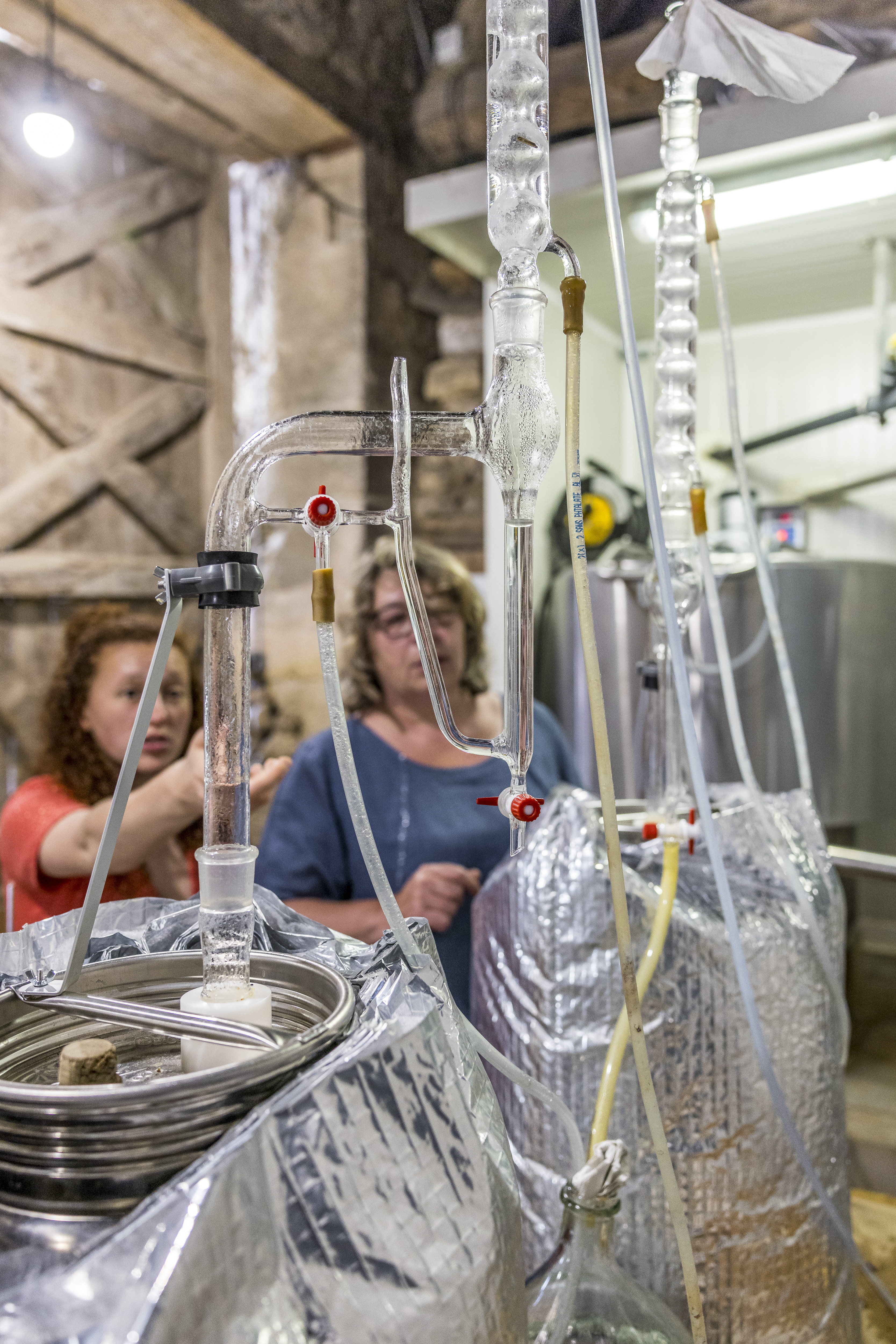 Rendez-vous au jardin des roses, Sepmes