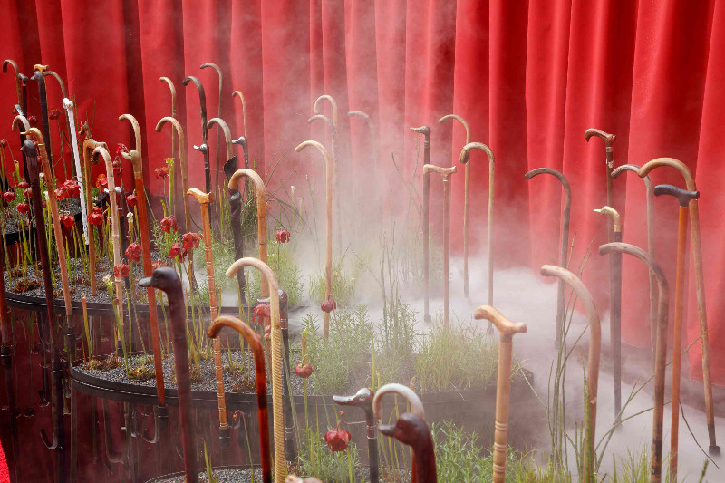 Festival International des Jardins, Chaumont-sur-Loire - photo 22