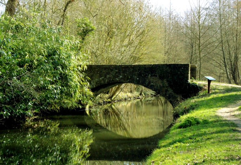 Marche nordique circuit Hanches UFOLEP bleu clair