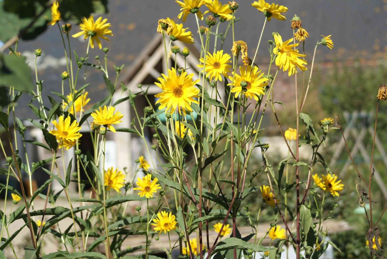 En pleine nature — photo 2