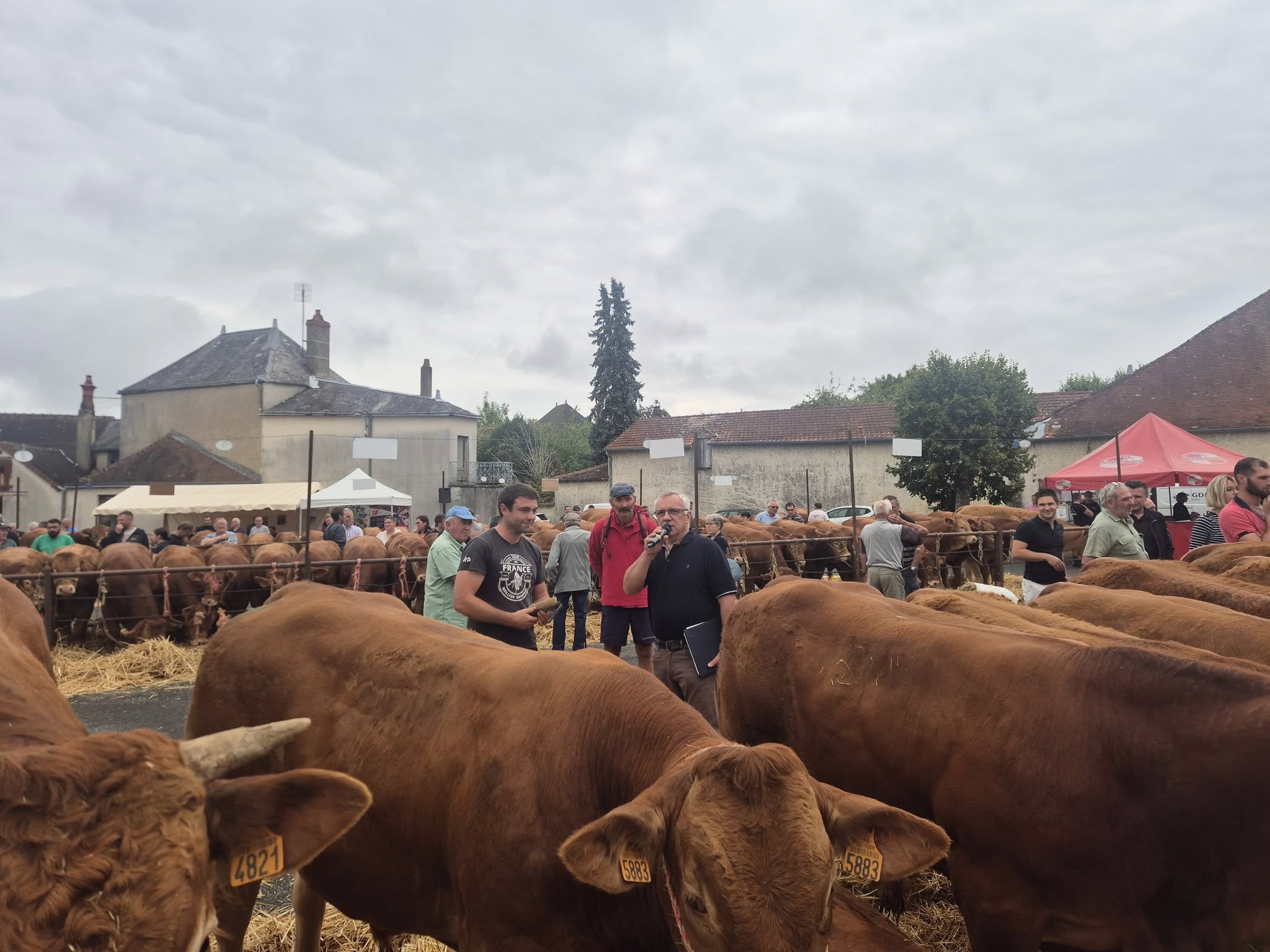 Foire bovine, Saint-Benoît-du-Sault - photo 3