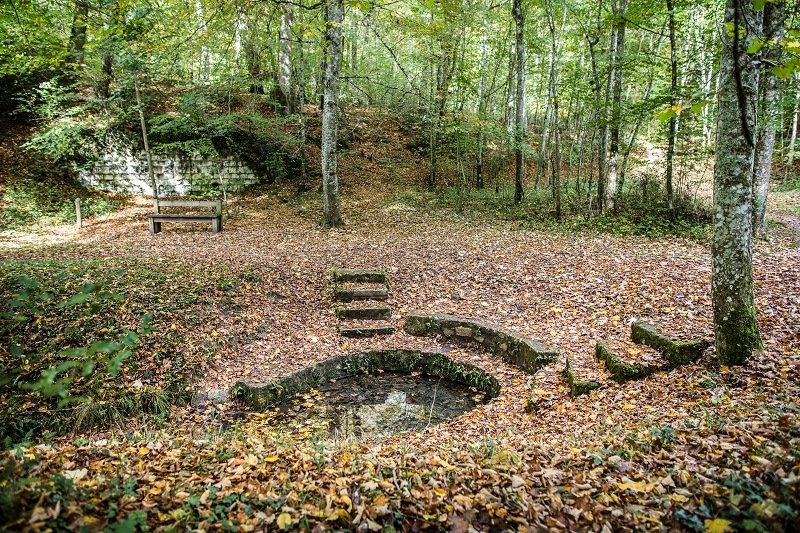 Au cœur de la forêt domaniale de Loches - Boucle vélo n°2, Saint-Quentin-sur-Indrois - photo 3