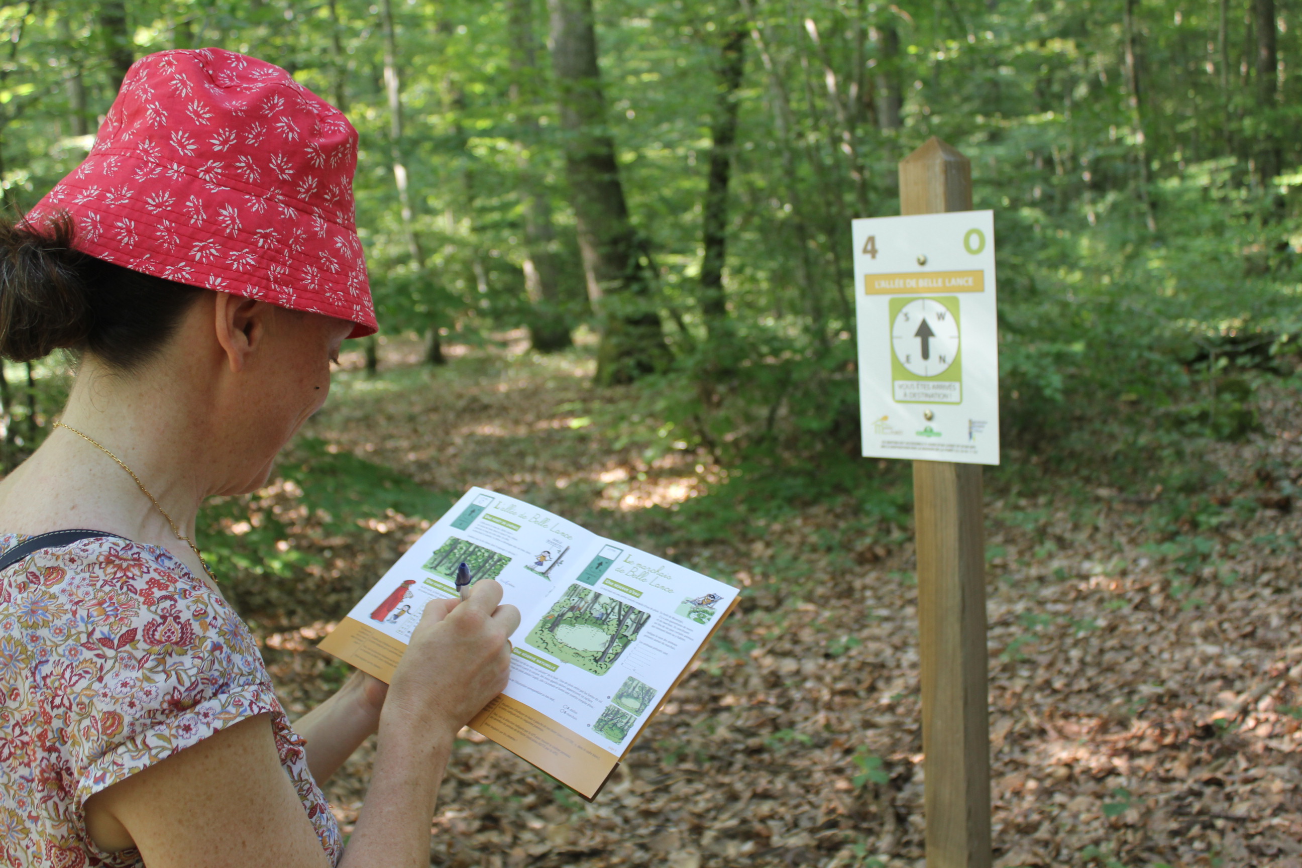 Forêt domaniale de Montargis, Montargis - photo 2