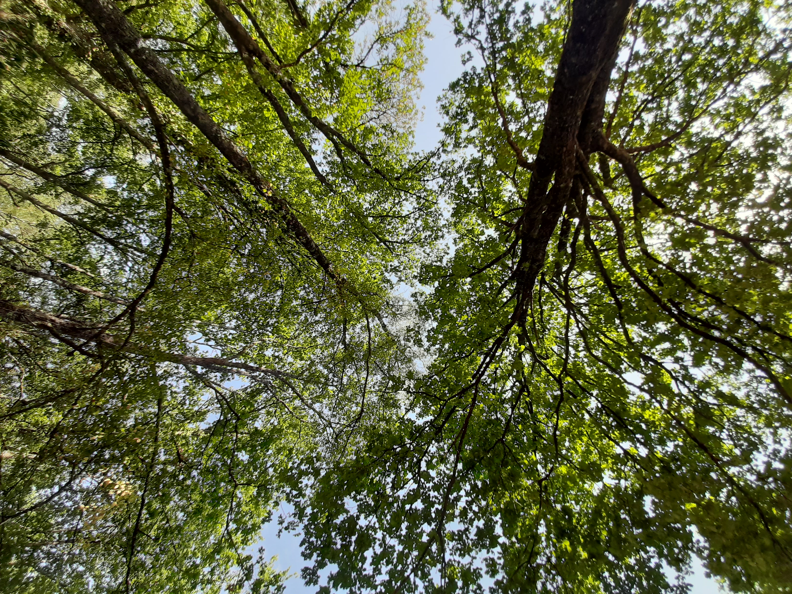 Circuit du puits de l'Enfer