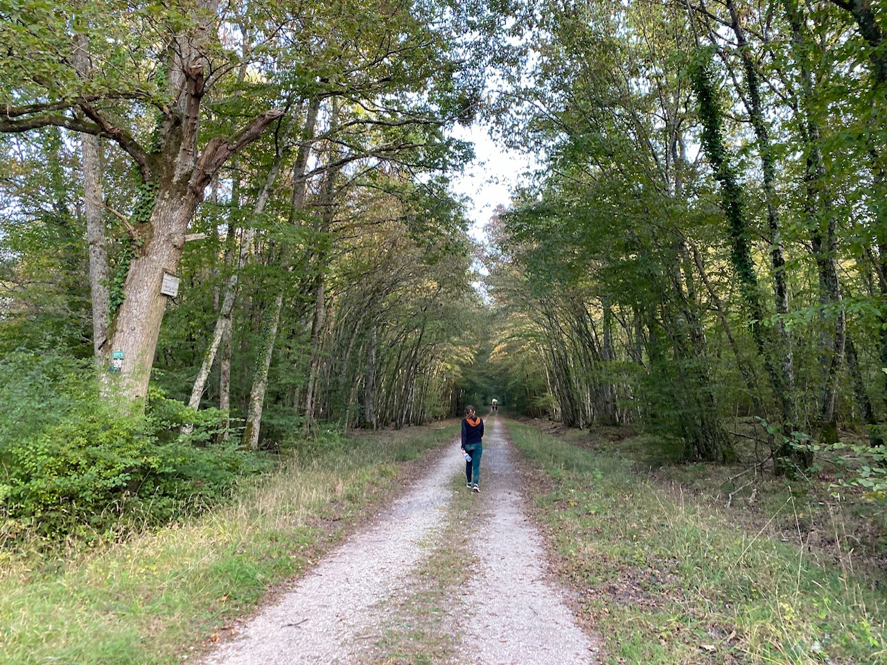 Découvrez la forêt d'Orléans avec l'application Forêts en poche