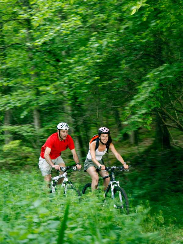 La forêt de Châteauneuf
