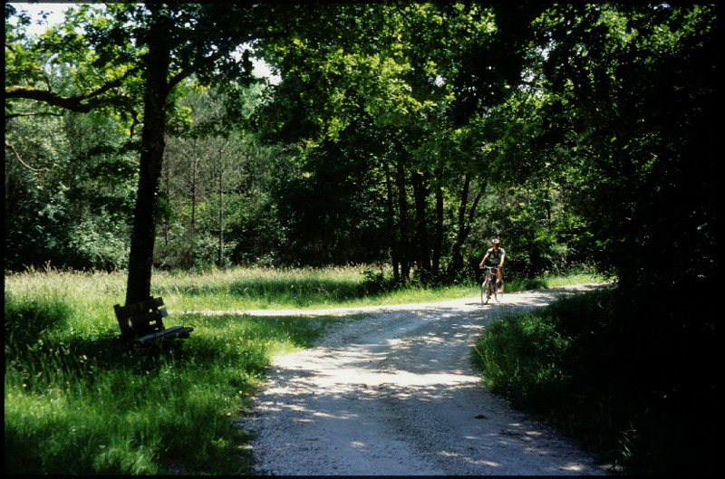 Circuit VTT - De la forêt de Lancosme aux étangs, Saint-Michel-en-Brenne - photo 2