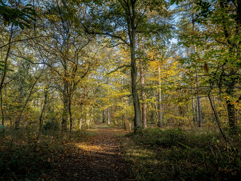 Circuit de la Giraudière