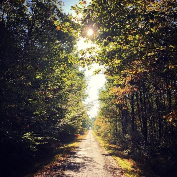 Forêt domaniale de Châteauroux
