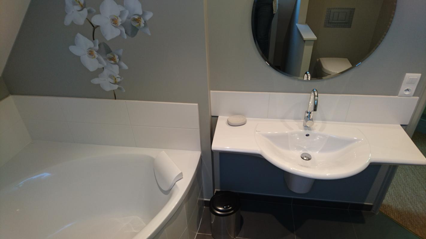 Le Mas, Muides-sur-Loire - photo 15