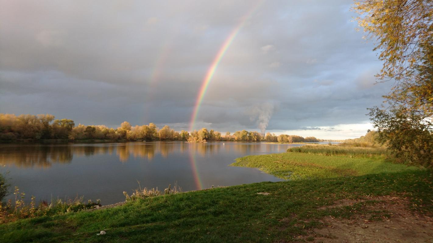 Le Mas, Muides-sur-Loire - photo 3