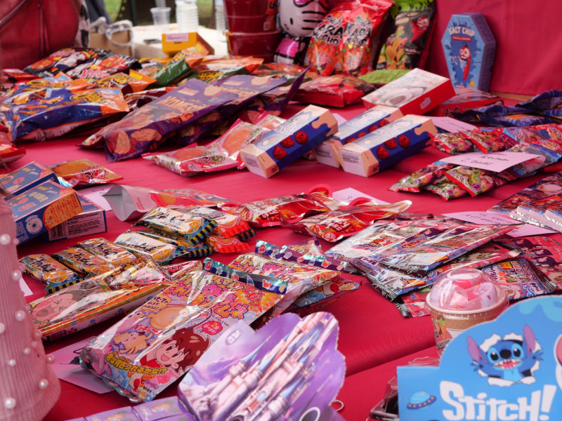 Go Japan !, Grossouvre - photo 5