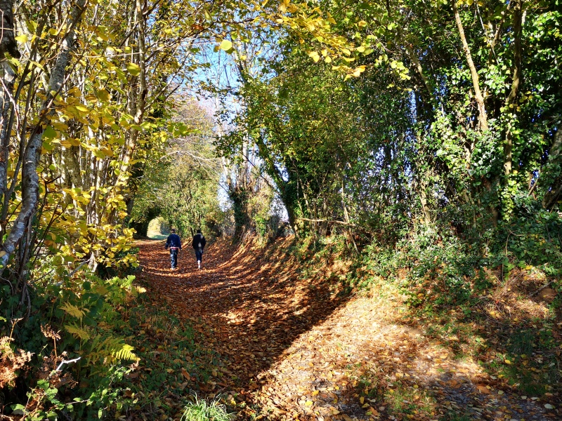 Circuit pédestre n° 89 "Sur les pas de la ligne de chemin de fer : Tours-Montluçon"