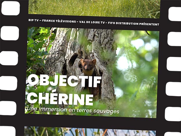 Projection du film "Objectif Chérine" — visuel événement