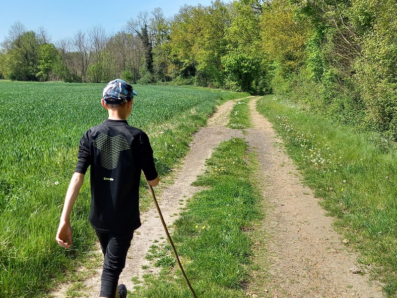 Randonnée pédestre des blés à Selommes