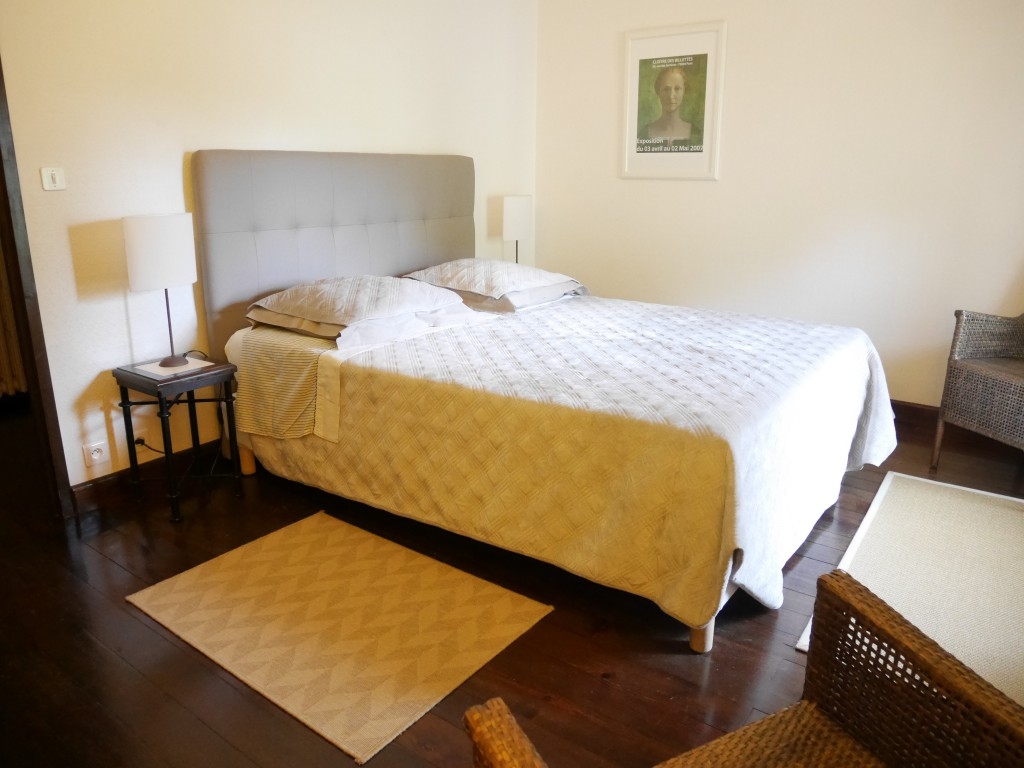 Le Plessis-Lepage - Le gîte, Azay-le-Rideau - photo 4