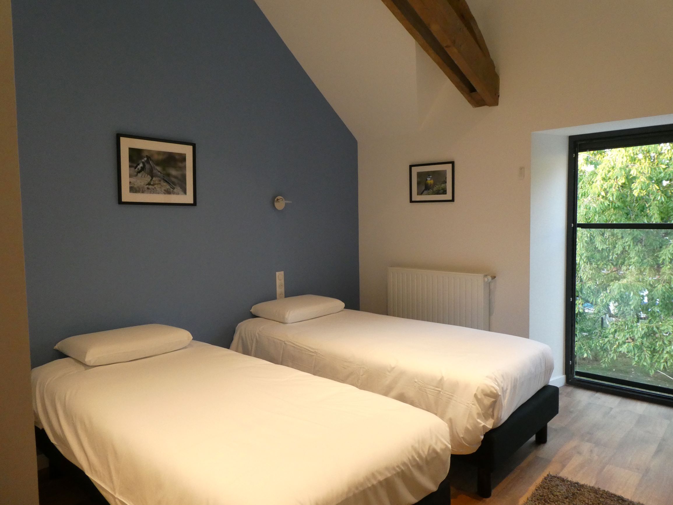 Gîte Les Oiseaux du Cèdre, Saint-Branchs - photo 21