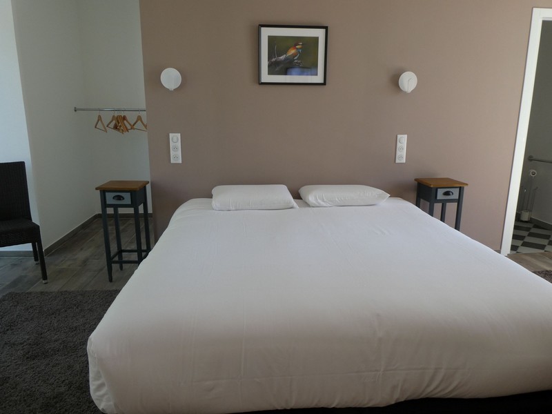 Gîte Les Oiseaux du Cèdre, Saint-Branchs - photo 20