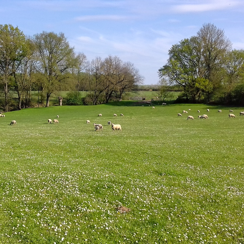 Gîte "Les Sens Ciel", Artannes-sur-Indre - photo 12