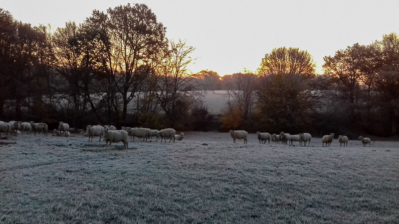 Gîte "Les Sens Ciel", Artannes-sur-Indre - photo 15