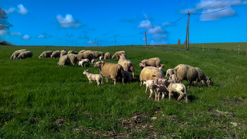 Gîte "Les Sens Ciel", Artannes-sur-Indre