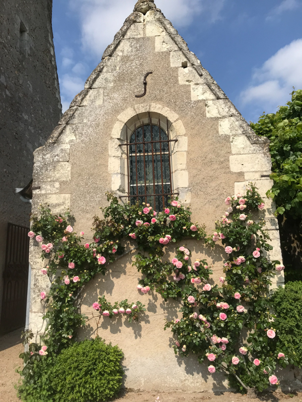 Manoir du Plessis, Savonnières - photo 12