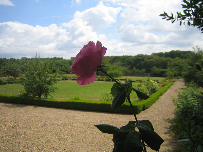 Manoir du Plessis, Savonnières - photo 9