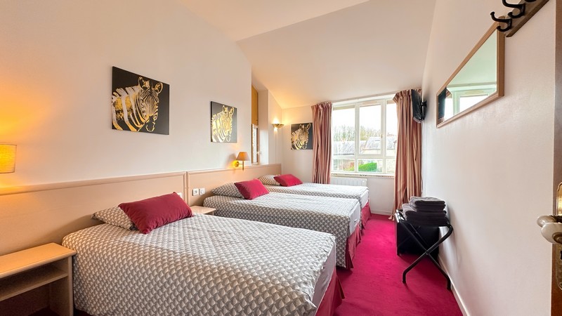 Gite La Fuye - Château de Jallanges, Vernou-sur-Brenne - photo 6