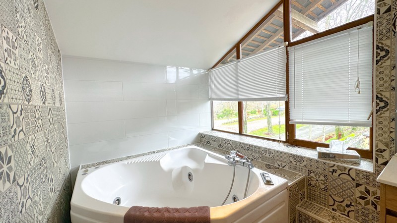 Gite La Fuye - Château de Jallanges, Vernou-sur-Brenne - photo 12