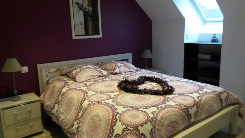 Gîte des vignes, Rochecorbon - photo 6