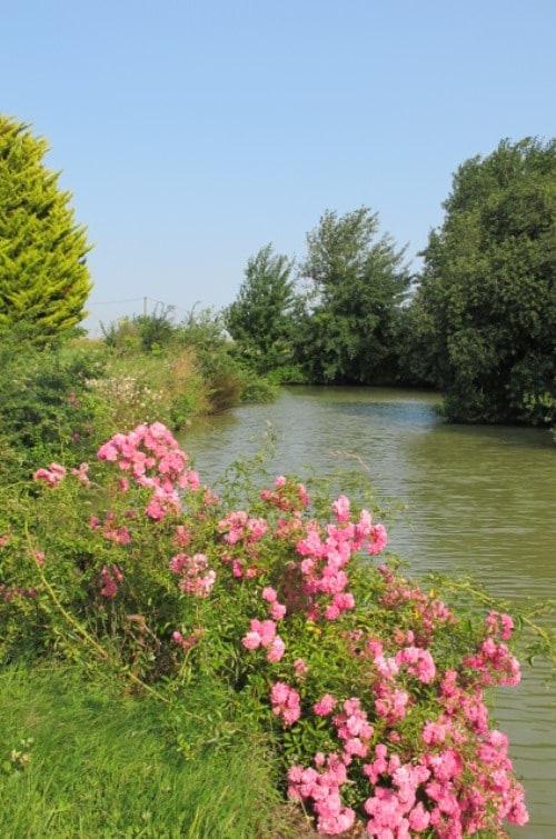 Le Clos Vallière - La Tiercerie, Crotelles - photo 2