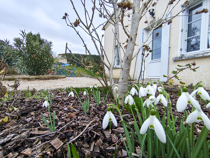 Gîte Les Huttières, Cravant-les-Côteaux - photo 23