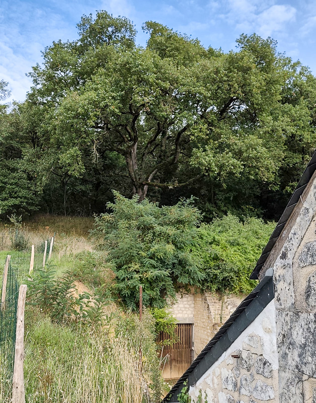 Gîte Les Huttières, Cravant-les-Côteaux - photo 3