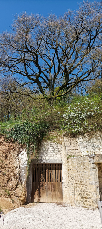 Gîte Les Huttières, Cravant-les-Côteaux - photo 22