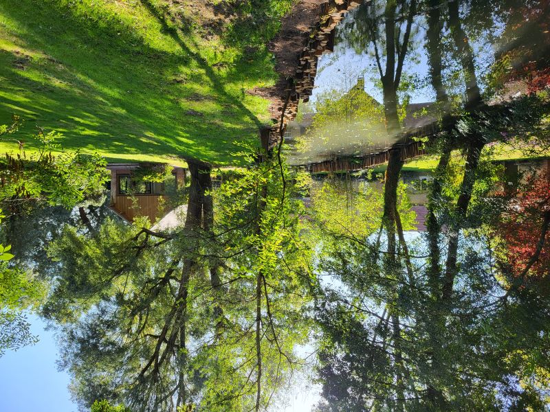 Gites de groupe du Moulin de Sainte Croix, Neuillé-le-Lierre - photo 13