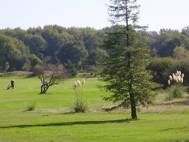 Golf de la Picardière, Vierzon