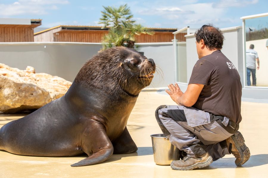 La Tanière - Zoo refuge, Nogent-le-Phaye - photo 5