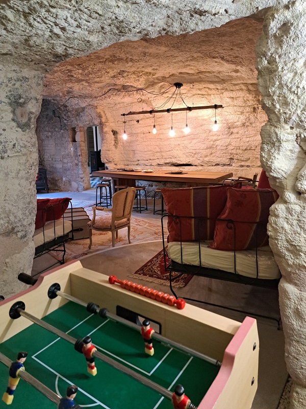 Le Grand Roc, Civray-de-Touraine - photo 13