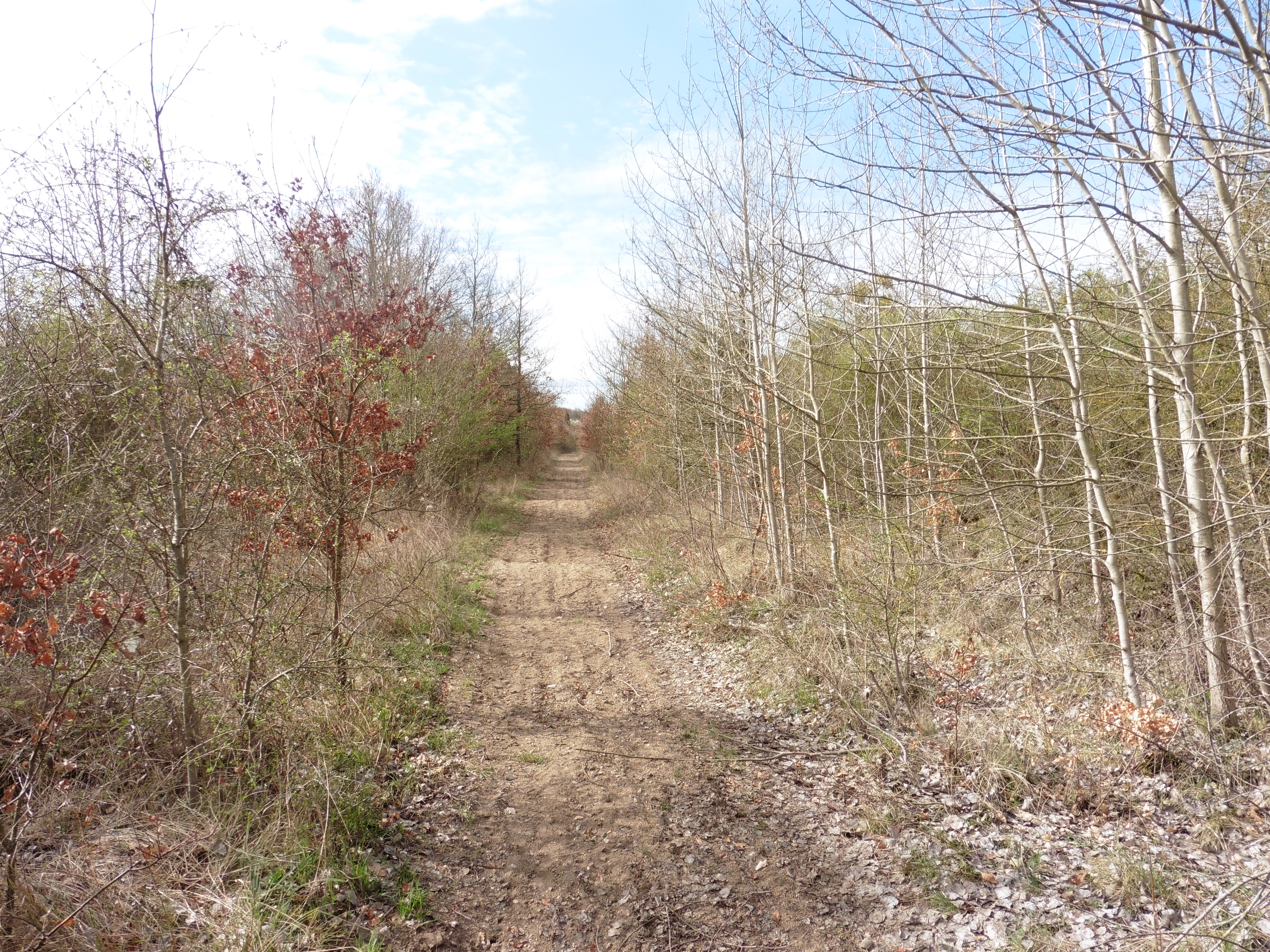 L'Espace Naturel Sensible : Pelouse de Grand Vau, Massay - photo 2